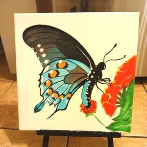 Feeding Butterfly on a rosy tulip flower.